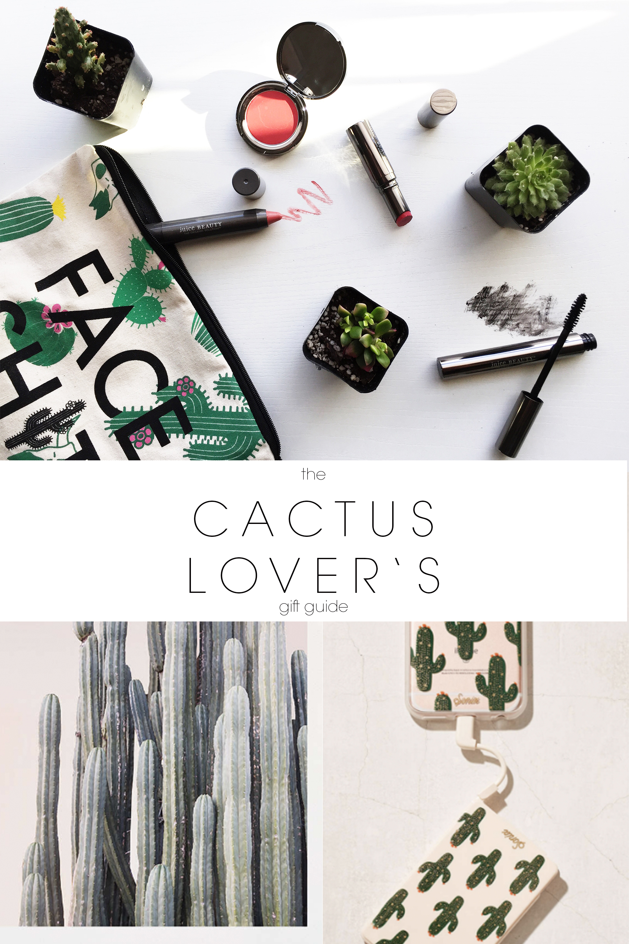 the-cactus-lovers-gift-guide