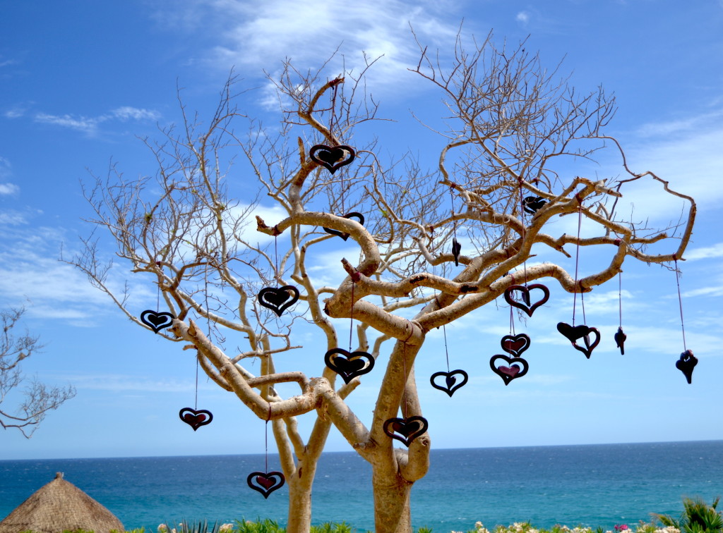 El_Pedregal_Hearts_Tree